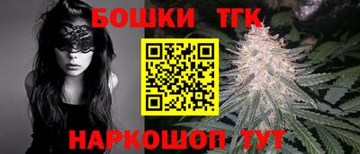 гашик Камышлов